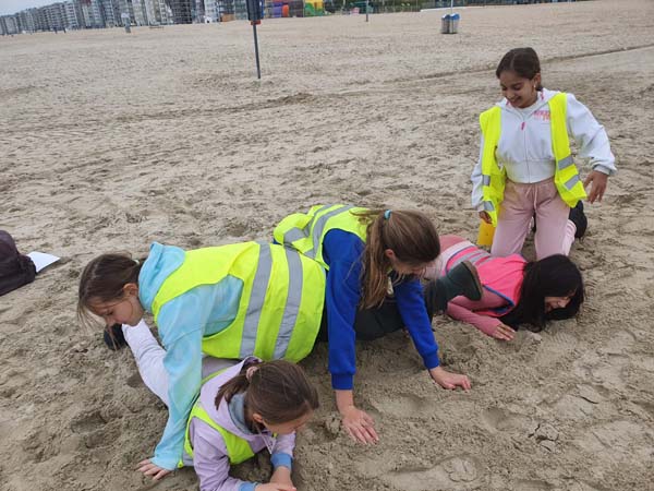 Atheneum Malle GWP1 aan zee