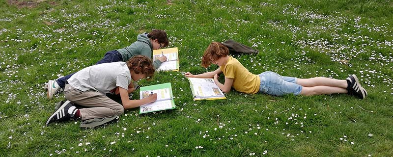 Didasco Atheneum Malle Franse les tussen de bloemetjes