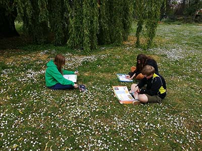 Didasco Atheneum Malle Franse les tussen de bloemetjes