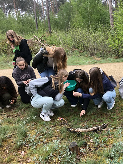 Atheneum Malle GWP5 De smaak van het bos