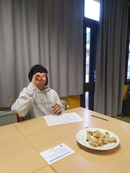 Atheneum Malle Project Gist Master