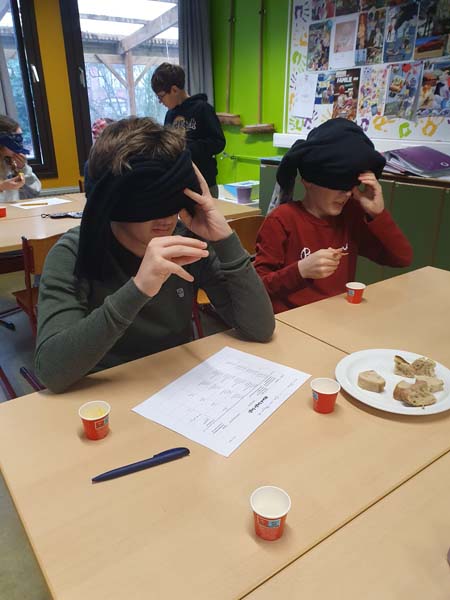 Atheneum Malle Project Gist Master