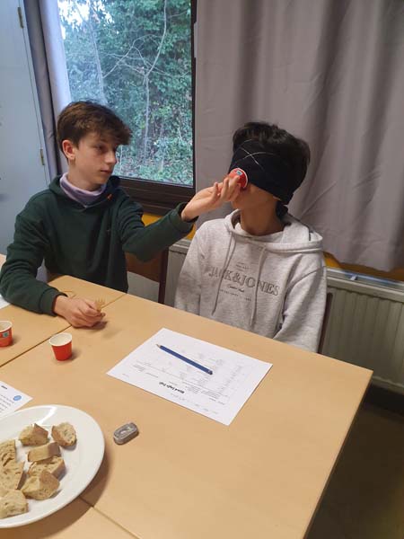 Atheneum Malle Project Gist Master