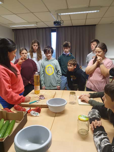 Atheneum Malle Project Gist Master