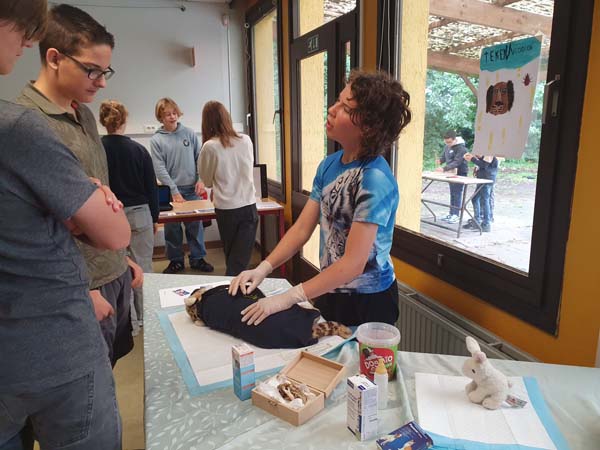 Atheneum Malle Laatste projectdag Atheneum Malle Laatste projectdag