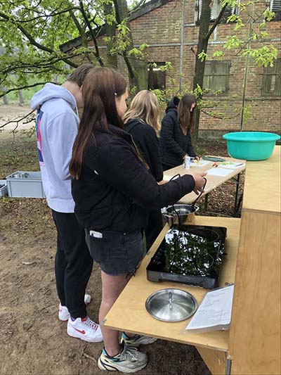 Atheneum Malle GWP5 De smaak van het bos