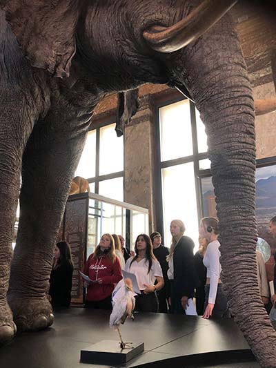 Atheneum Malle GWP5 bezoek aan het Afrikamuseum in Tervurenrzoek