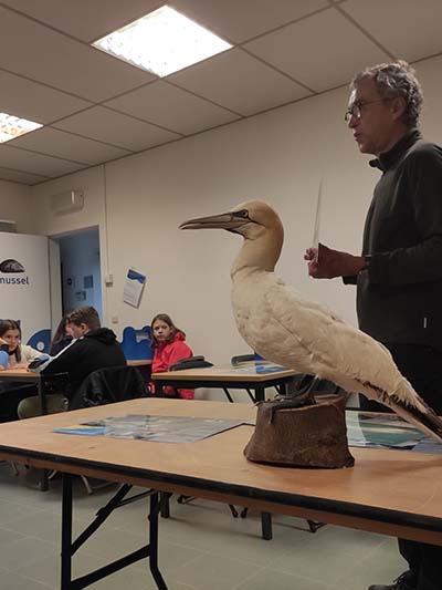 Atheneum Malle GWP1 aan zee