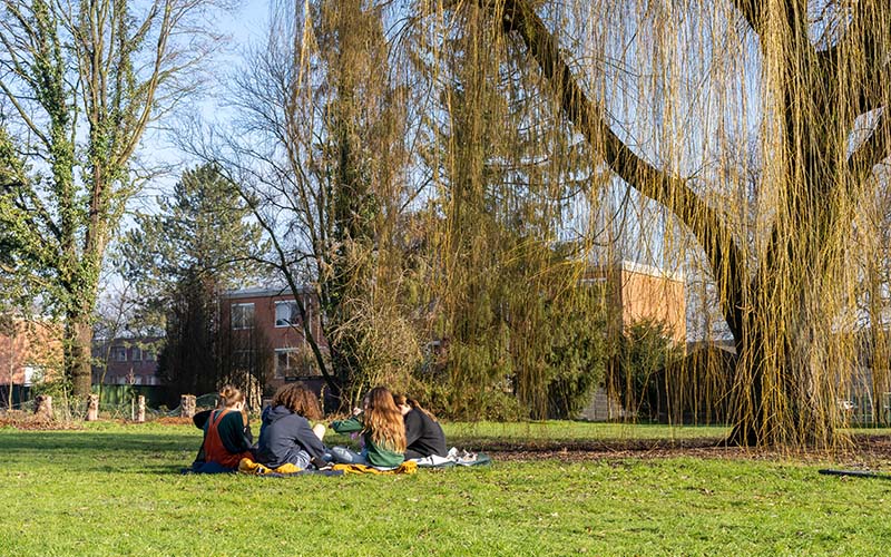 Didasco-Freinet Malle ontspannen in de tuin