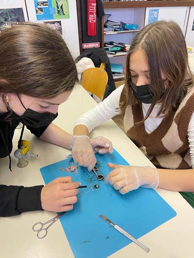 Atheneum Malle dissectie van een varkensoog