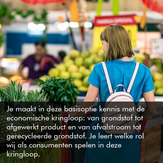 Basisoptie Economie & organisatie