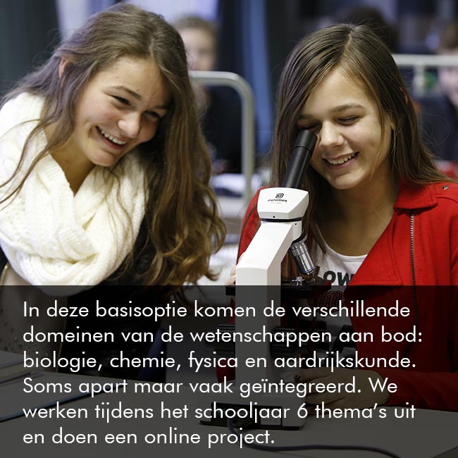 Basisoptie Moderne talen & wetenschappen
