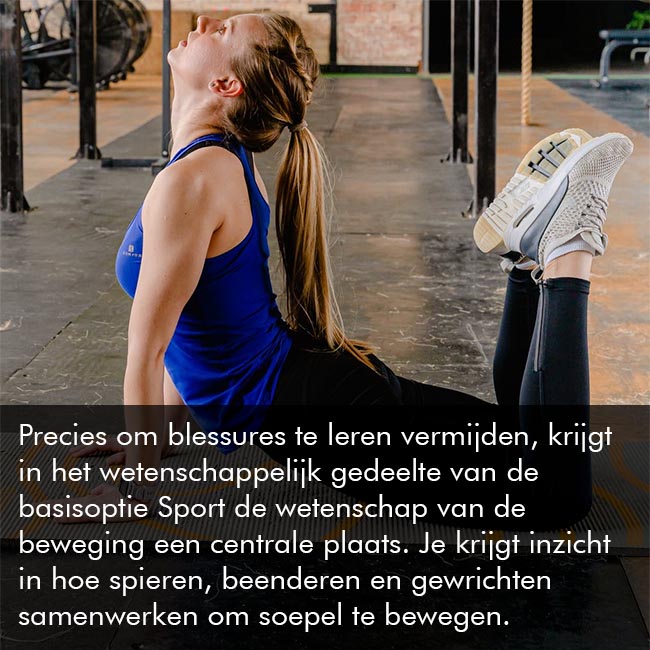 Basisoptie Sport
