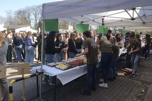 Atheneum Malle Stressfactor